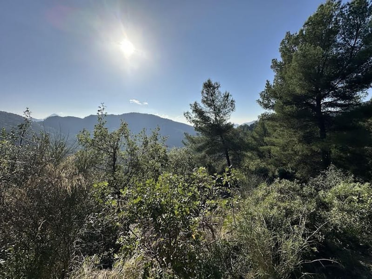 Terrain 3120 m²