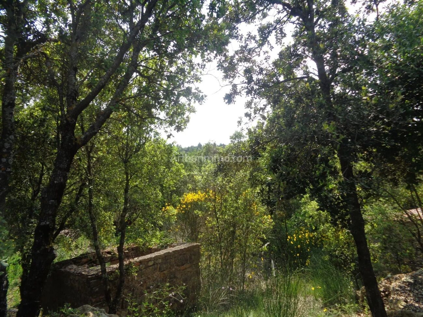 Terrain à vendre - 1740m2 - Tourtour (83690)