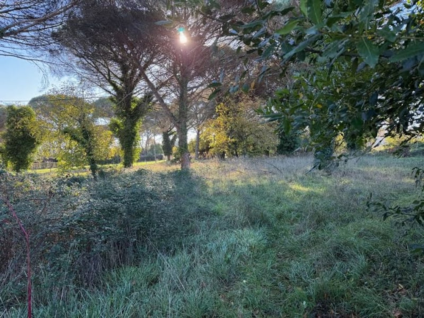 Terrain 1040 m²