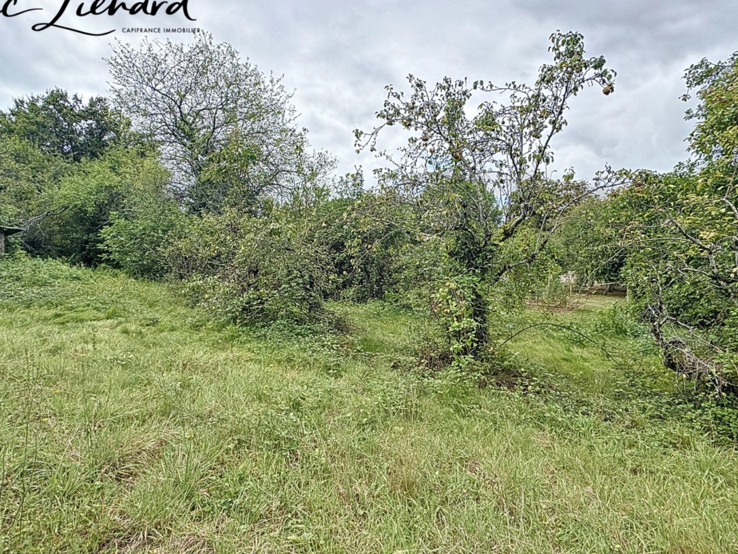 Terrain à vendre - 2106m2 - Saint-Maixent-L'é... (79400)