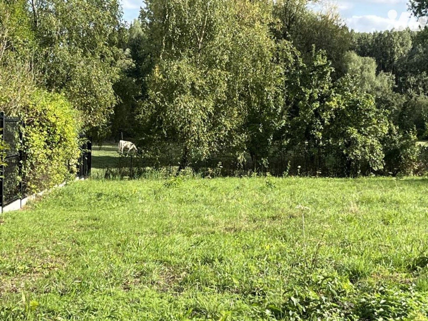 Terrain à vendre - 1354m2 - Saint-Amand-Les-Eaux (59230)