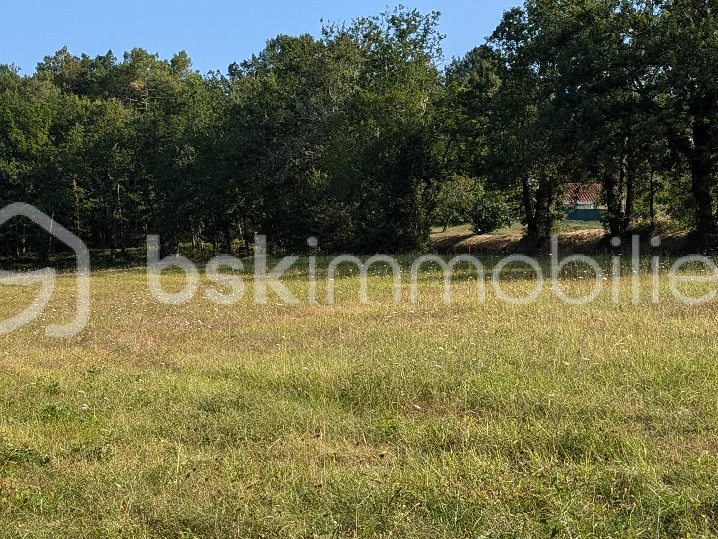 Terrain 2956 m²
