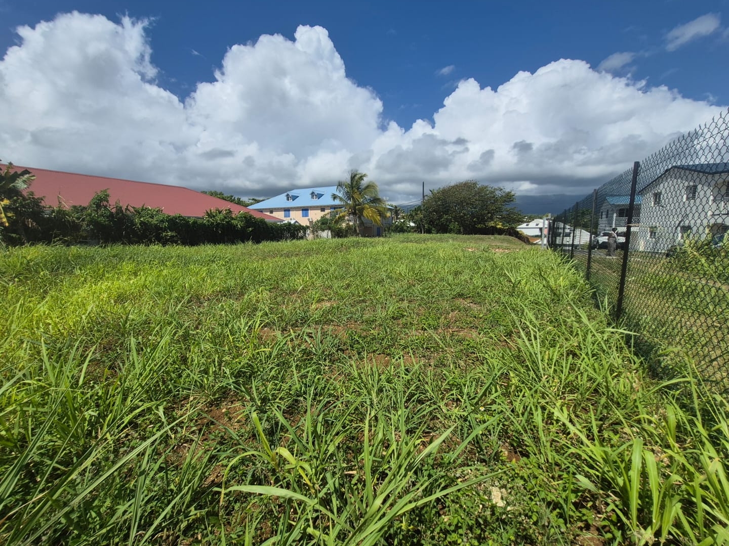 Terrain à vendre - 1092m2 - Goyave (97128)