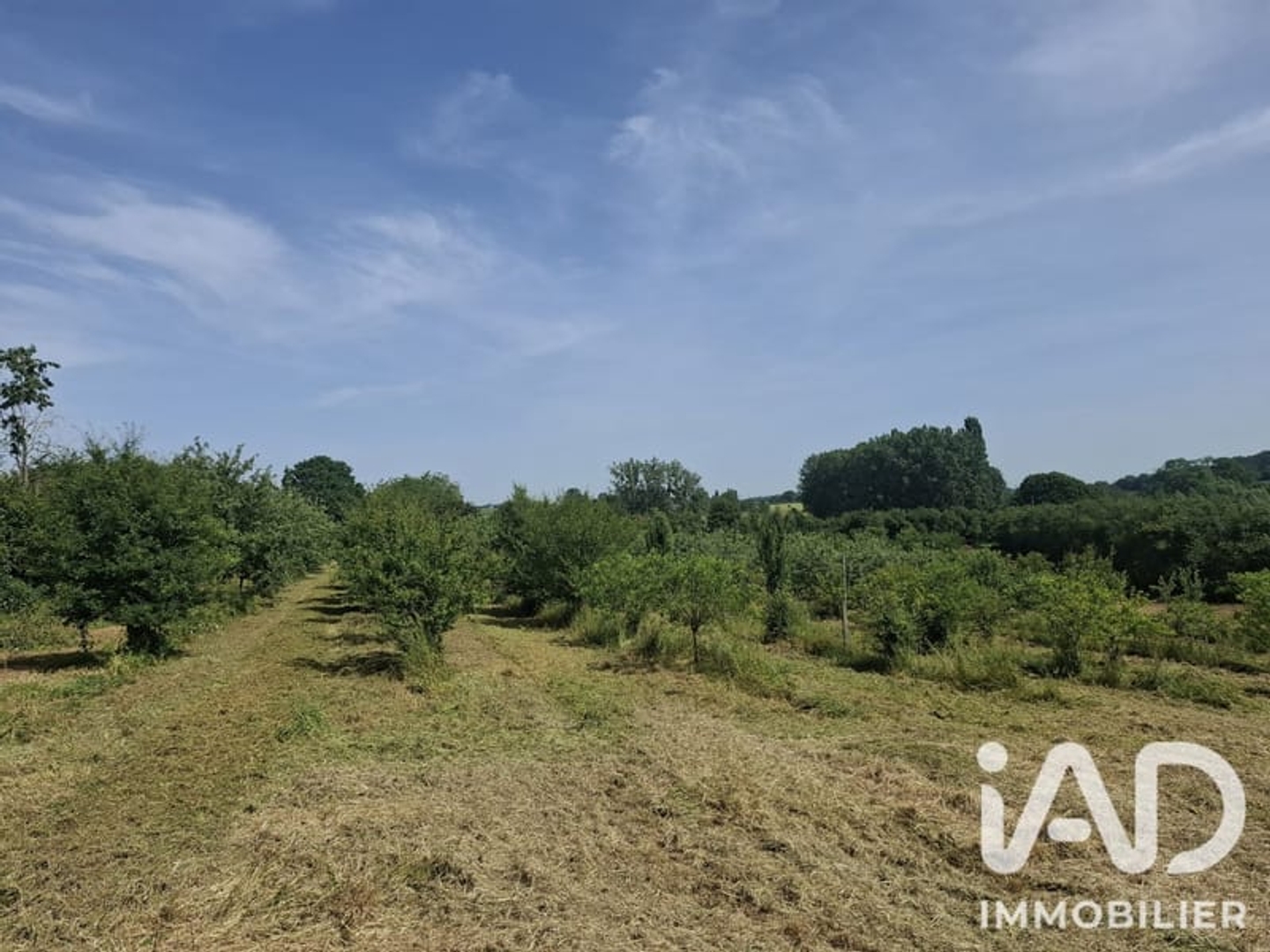 Magasin à vendre - 1 pièce - 91436m2 - Chantenay-Villedieu (72430)