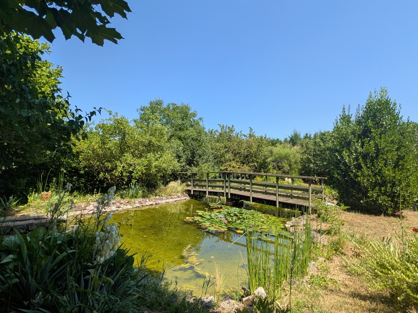 Maison à vendre - 6 pièces - 120m2 - Saint-Germain-Au-... (69650)