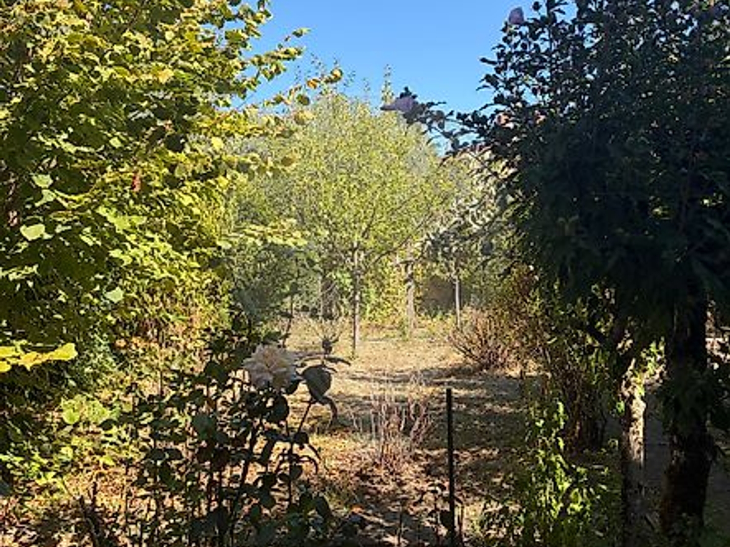 Maison à vendre - 4 pièces - 86m2 - Albi (81000)