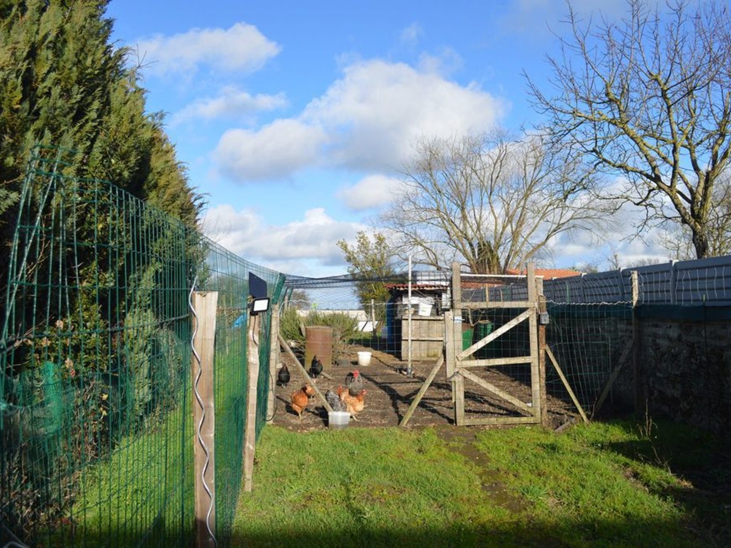Terrain à vendre - 230m2 - Simplé (53360)