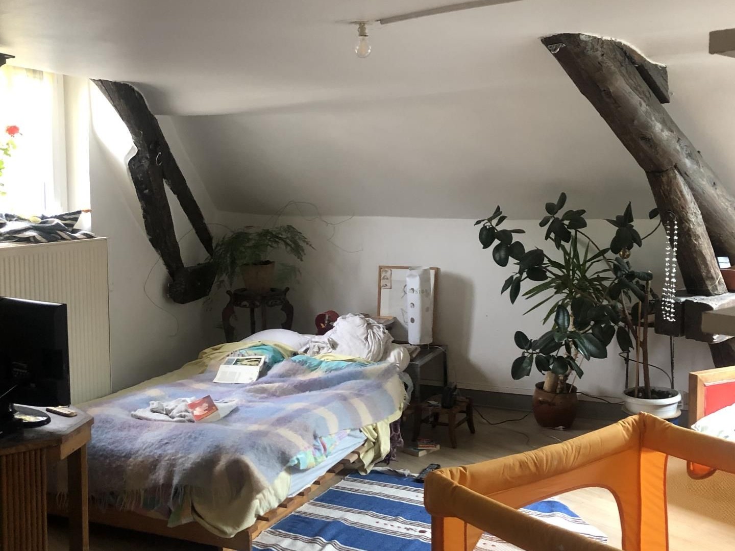 Appartement 2 pièces 48 m²