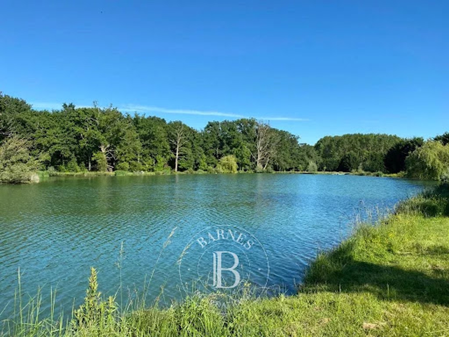 Propriété 9 pièces 416 m²