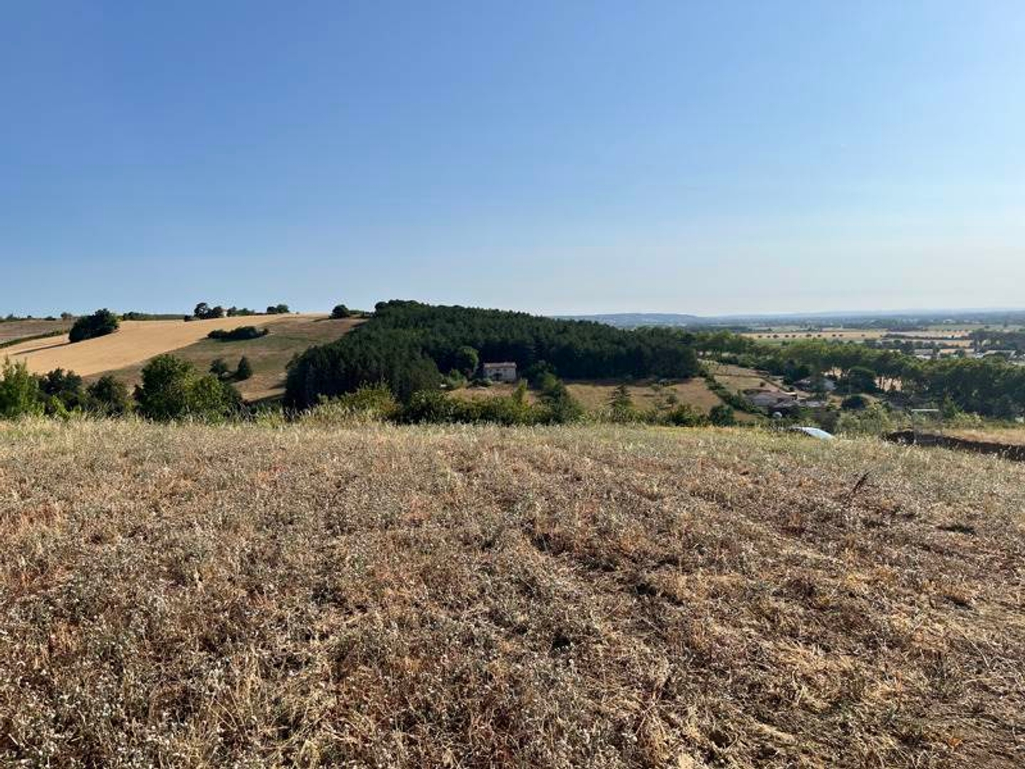 Terrain à vendre - 702m2 - Rabastens (81800)