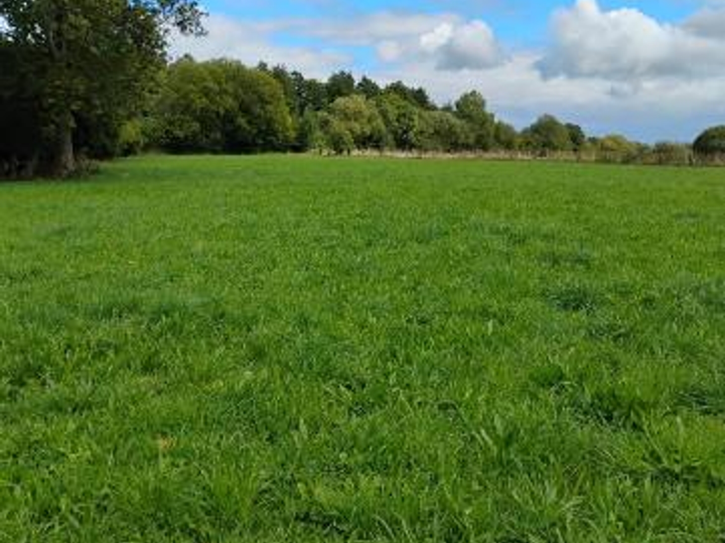 Terrain 7717 m²