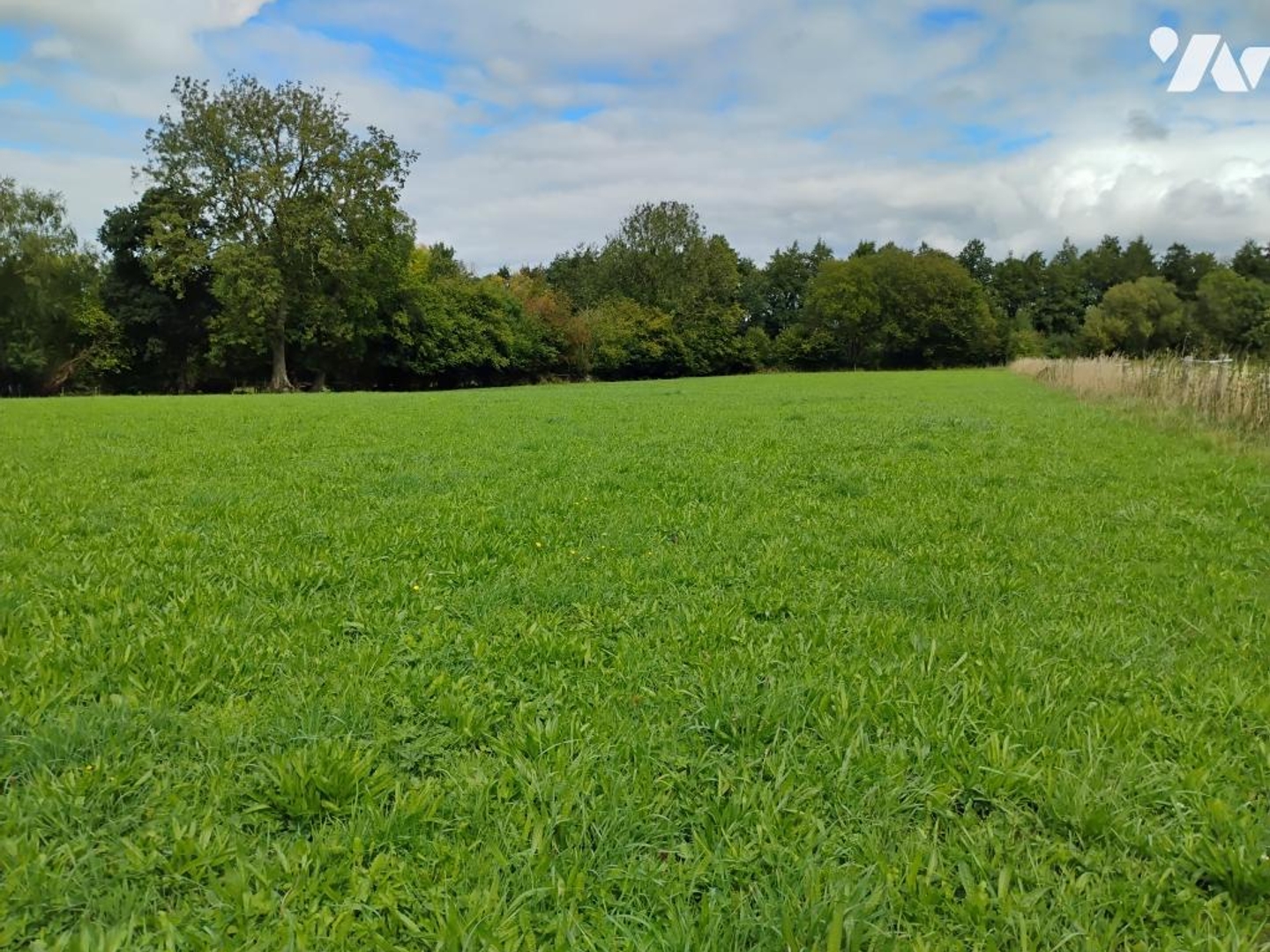 Terrain à vendre - 7717m2 - Cambernon (50200)