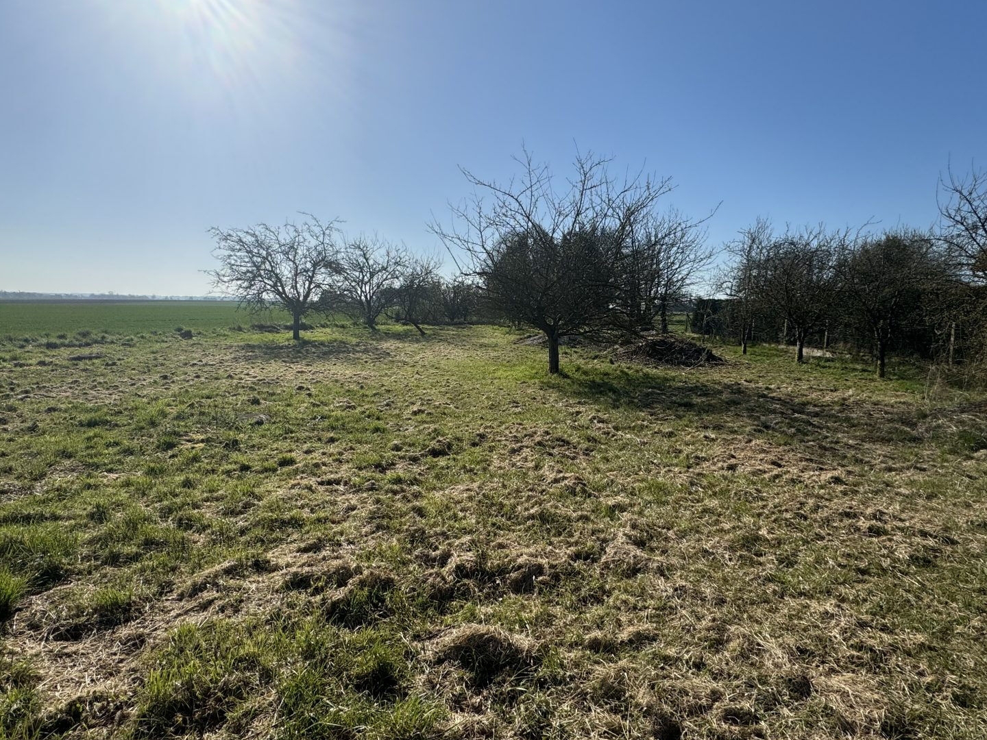 Terrain à vendre - 960m2 - Saint-Maxent (80140)