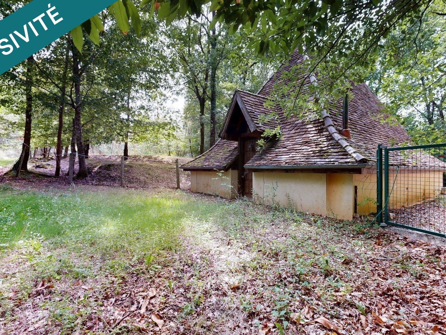 Terrain à vendre - 77190m2 - Le Bugue (24260)