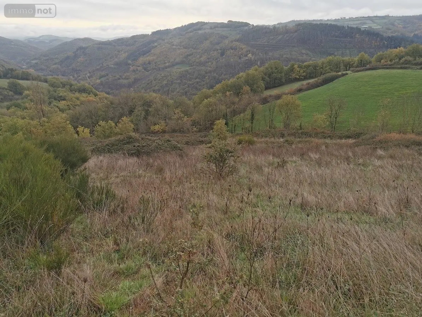 Terrain à vendre - 70000m2 - Brousse-Le-Château (12480)