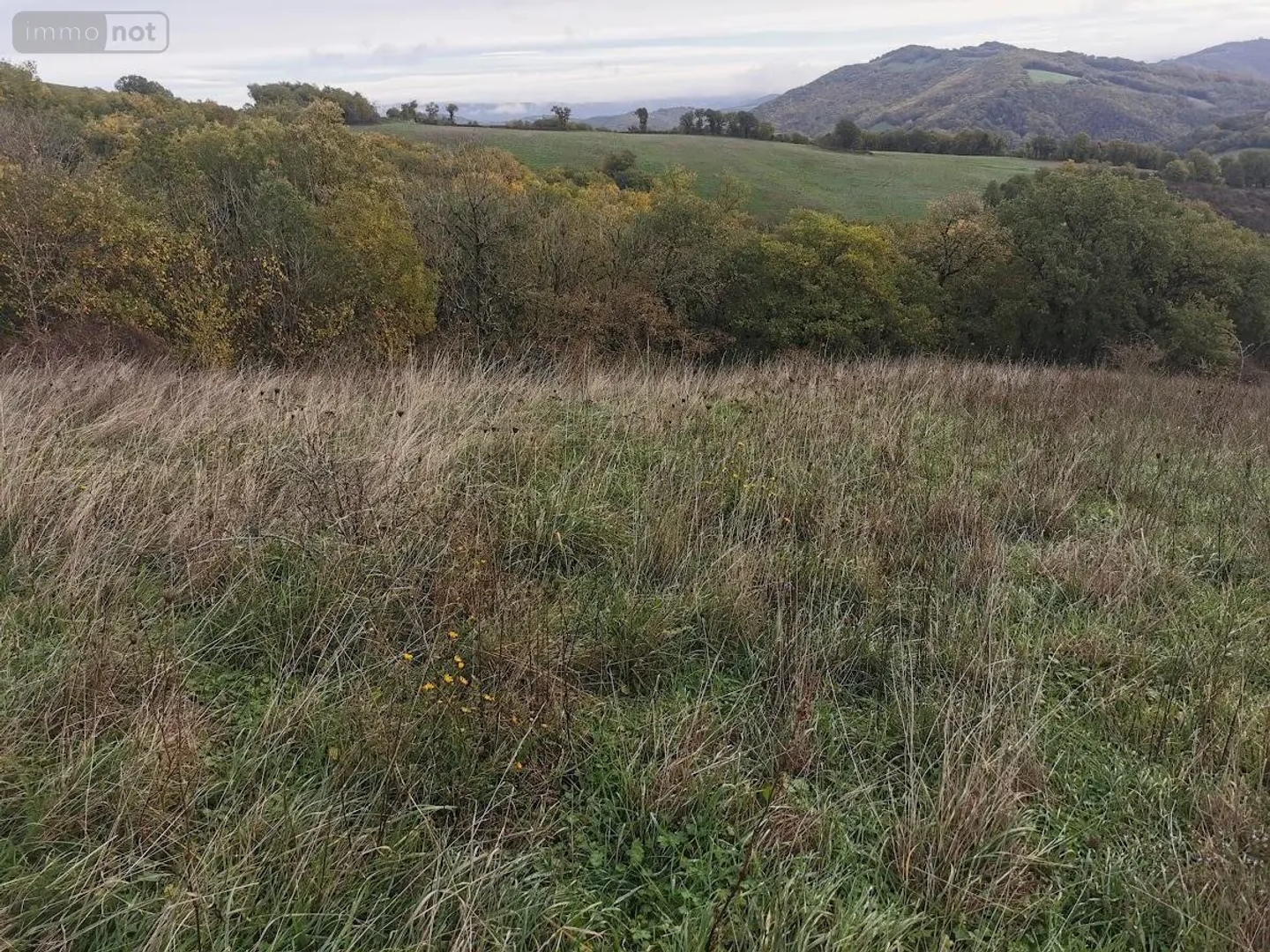 Terrain à vendre - 70000m2 - Brousse-Le-Château (12480)