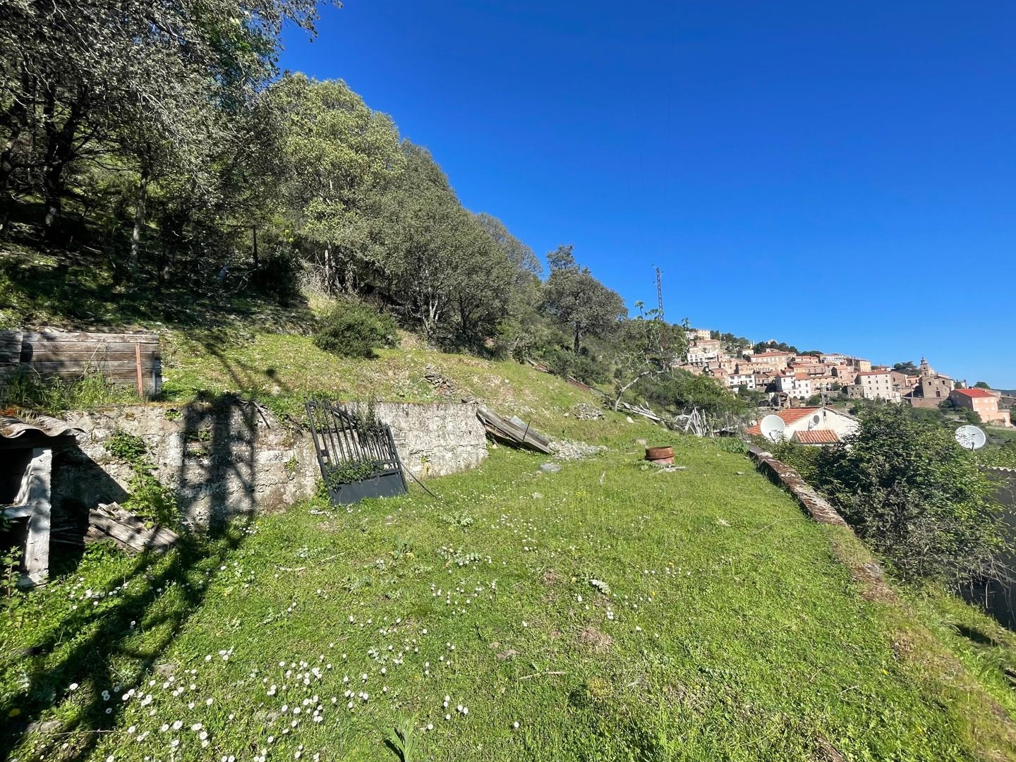 Maison à vendre - 4 pièces - 115m2 - Castifao (20218)