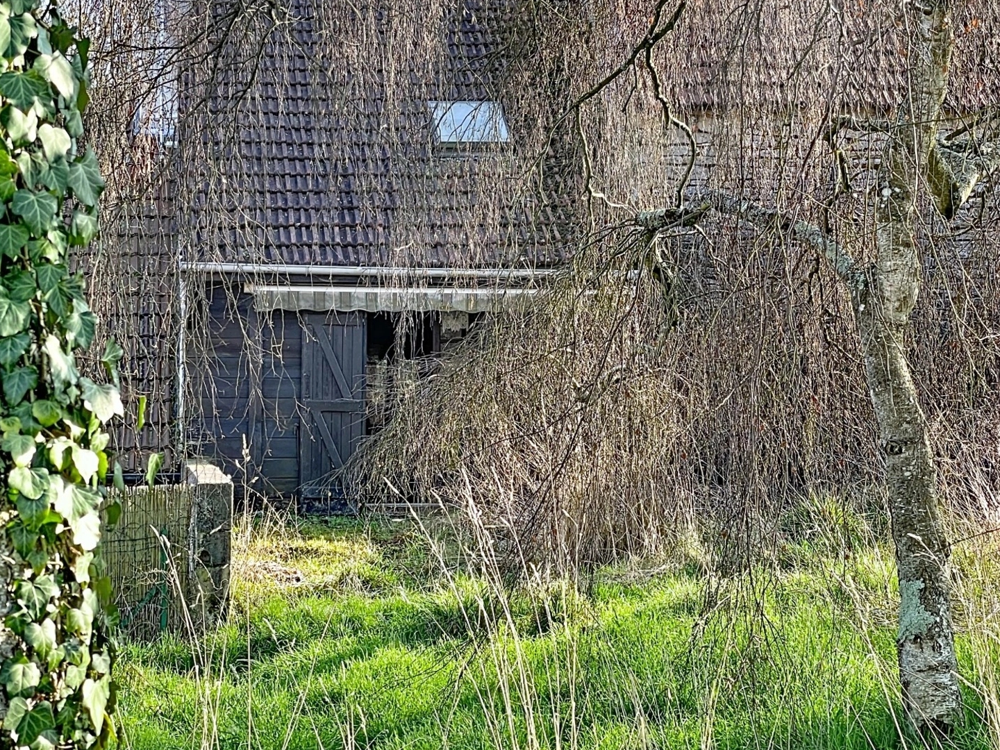 Maison 2 pièces 36 m²