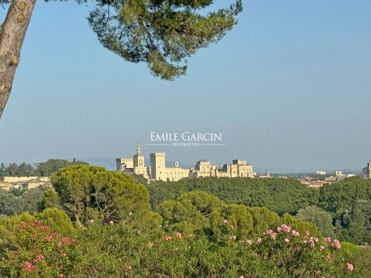 A vendre - Villa avec vue exceptionnelle sur le Palais des Papes - Villeneuve Les Avignon