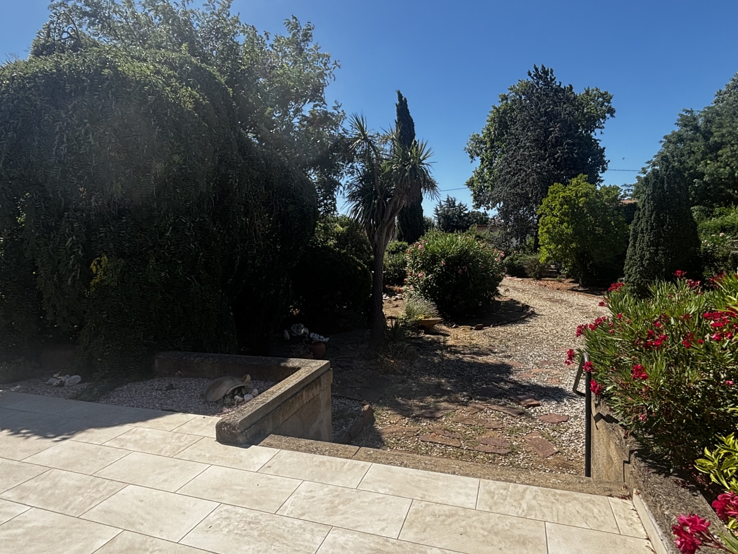 Terrain à vendre - 1554m2 - Vias (34450)