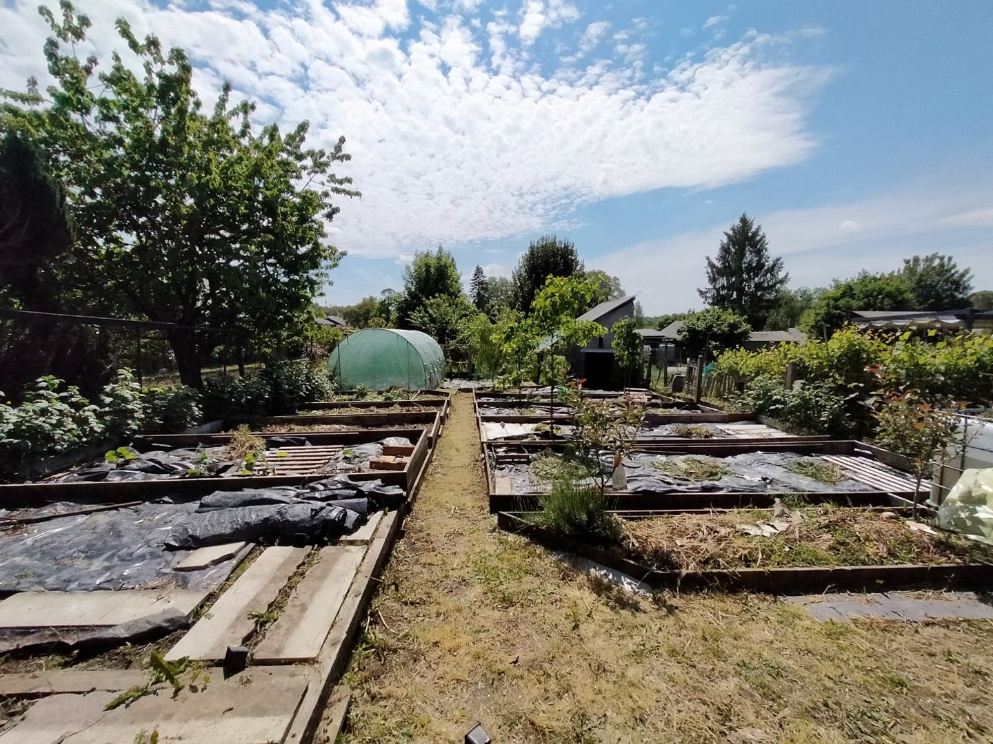 Terrain ref.2291 jardin permacole