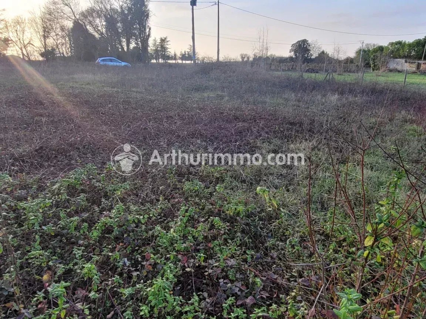 Terrain à vendre - 504m2 - Saint-Pierre-De-J... (17400)