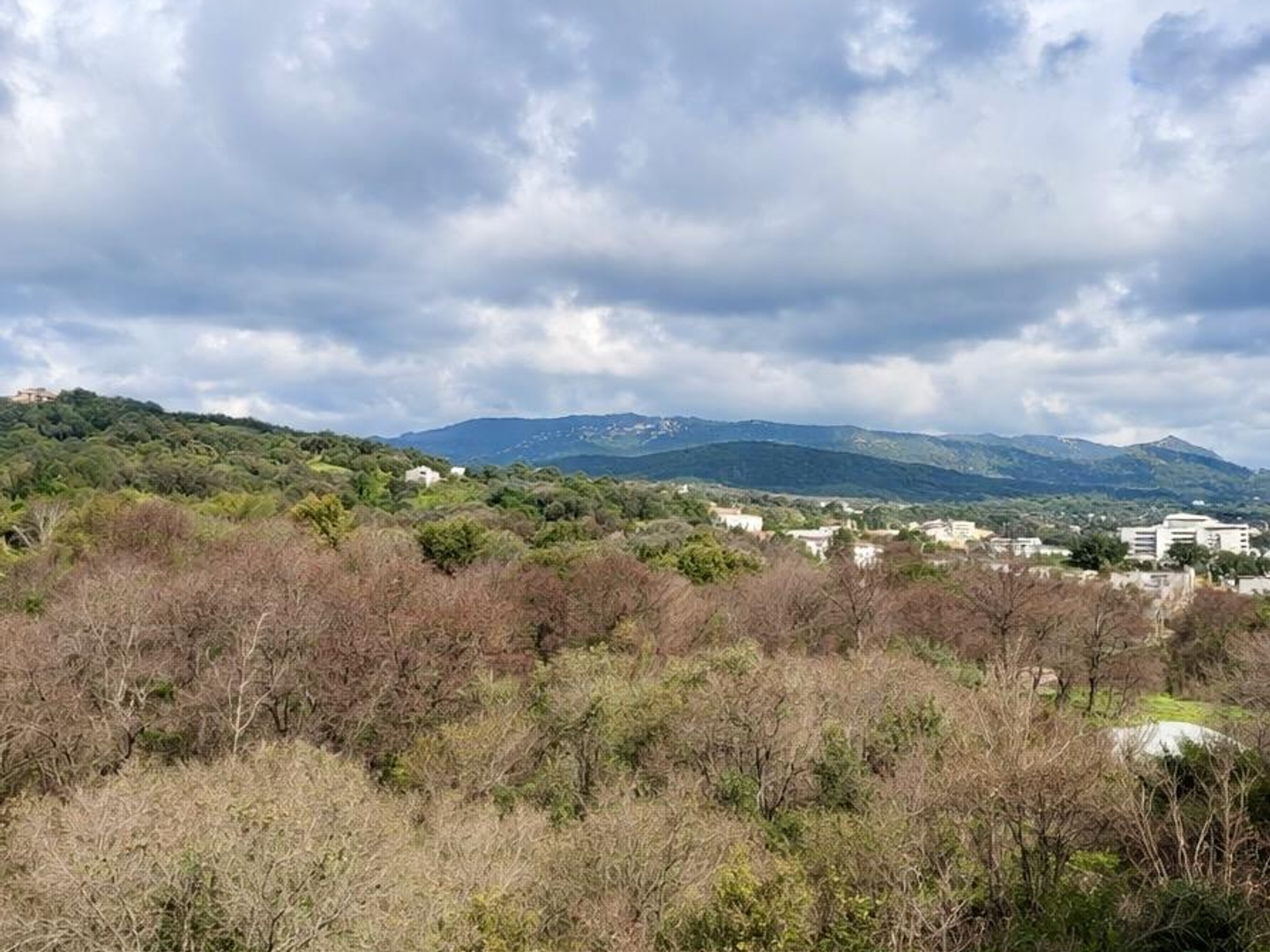 Appartement à vendre - 4 pièces - 100m2 - Ajaccio (20000)