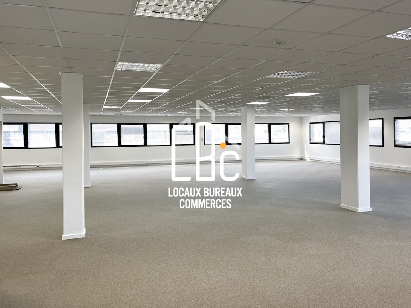 Locaux à vendre - 1143m2 - Ancenis-Saint-Géréon (44150)