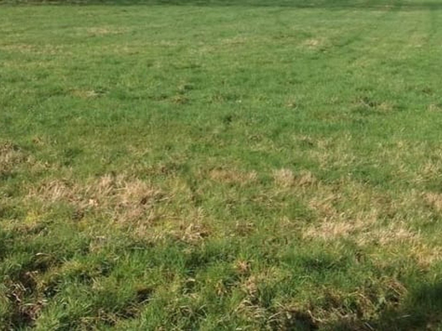 Terrain 2400 m²