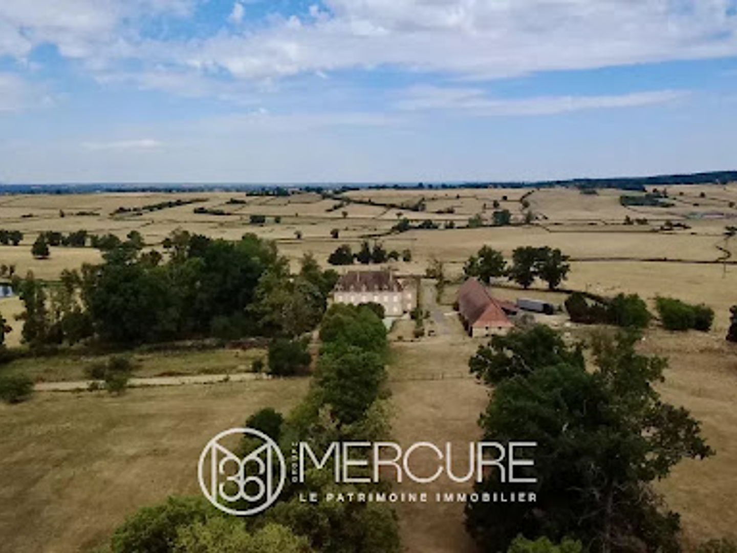 Maison à vendre - 19 pièces - 532m2 - Château (71250)