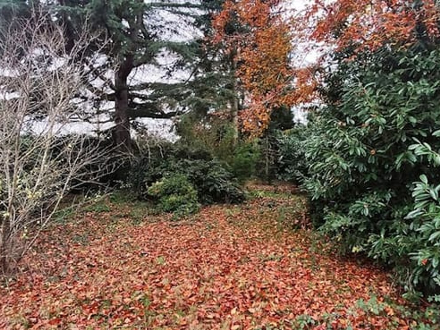 Terrain 1103 m²