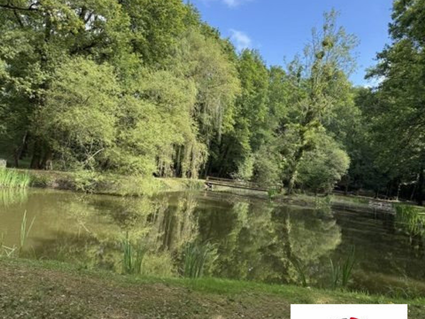 Terrain à vendre - 5016m2 - Les Bordes (45460)