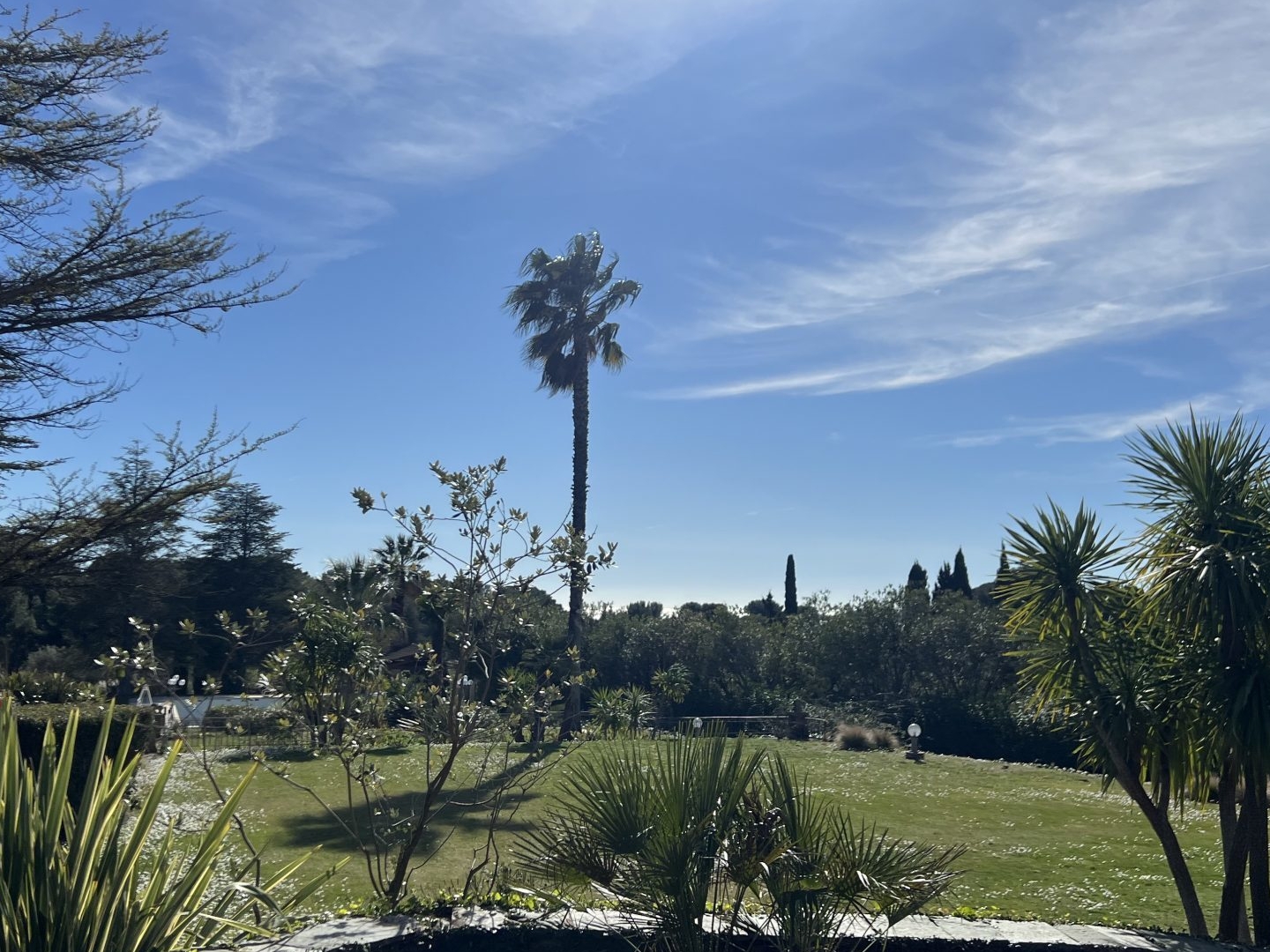 Appartement à vendre - 3 pièces - 75m2 - La Ciotat (13600)