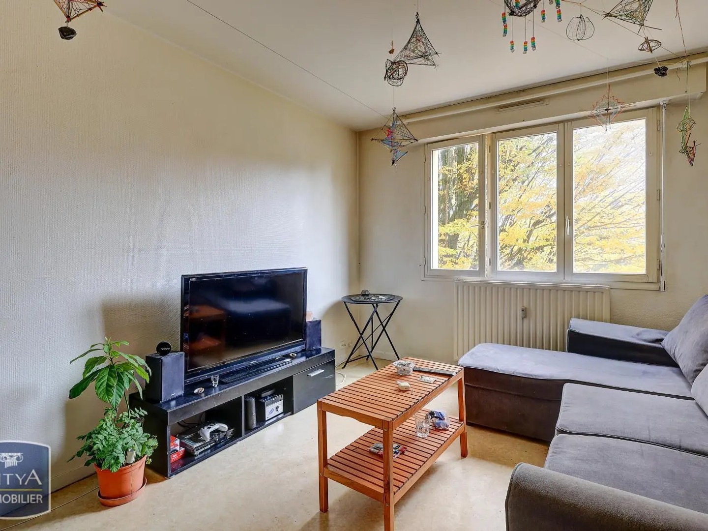 Appartement 1 pièce 20 m²