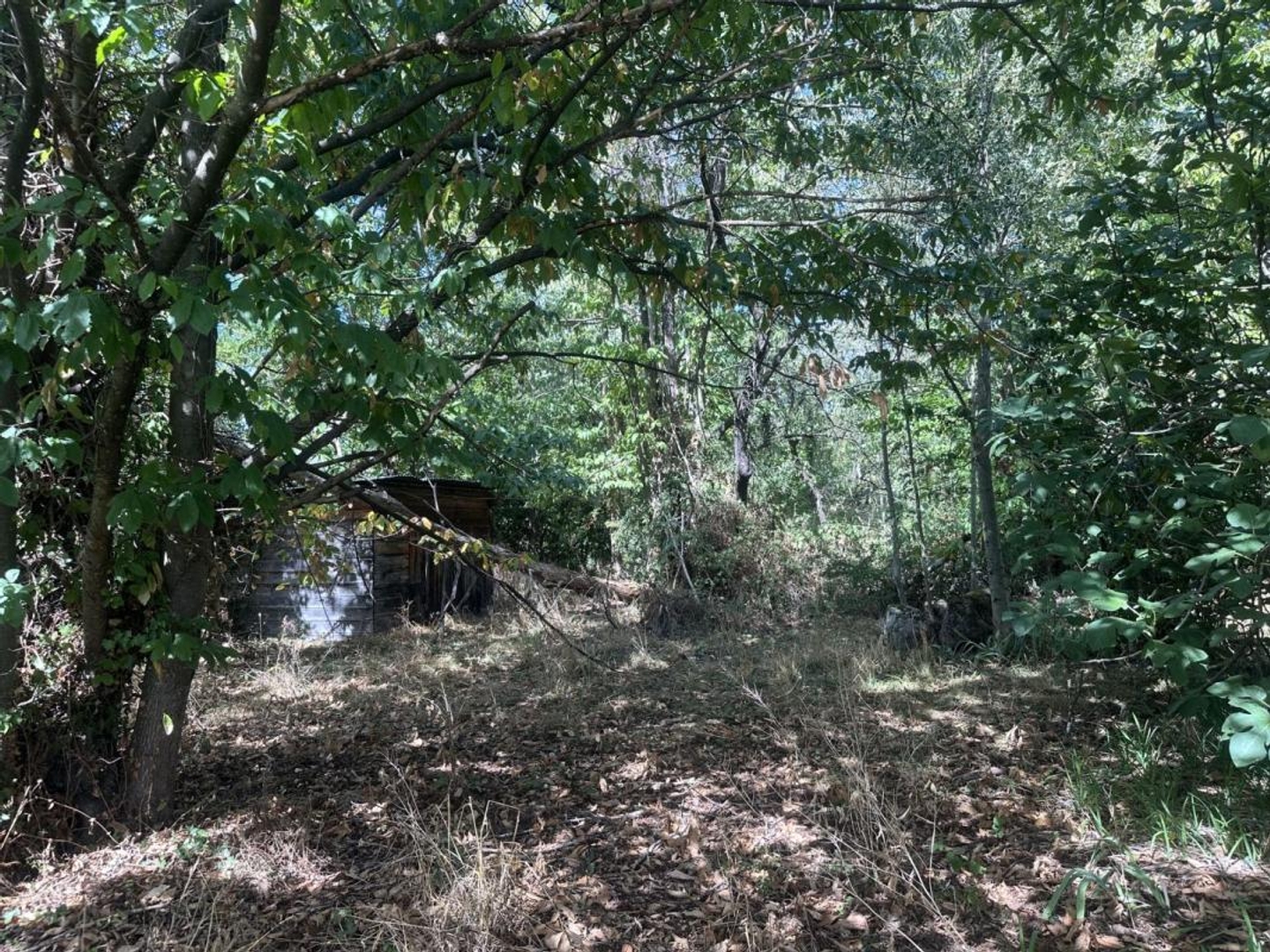 Terrain en individuel 3755 m²