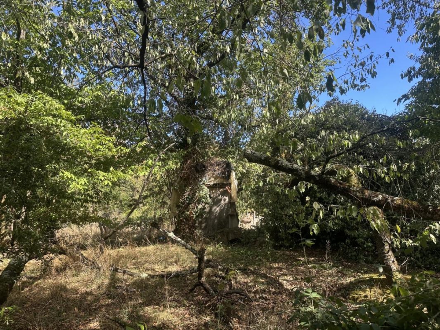 Terrain à vendre - 3755m2 - Montgaillard (09330)