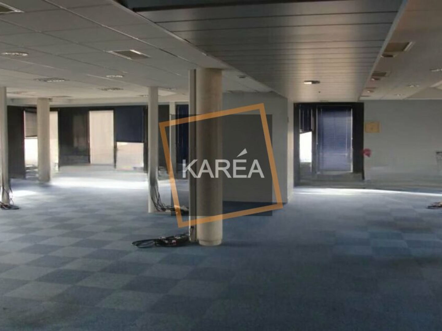Local professionnel 665 m²