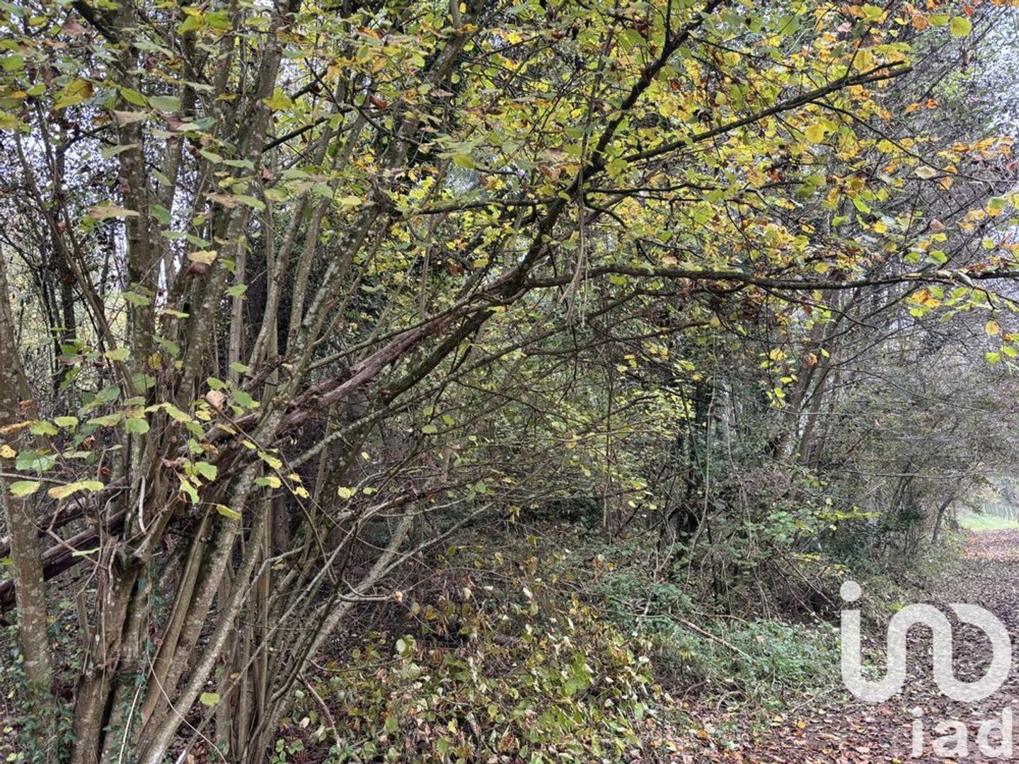 Vente Terrain 1 612 m²