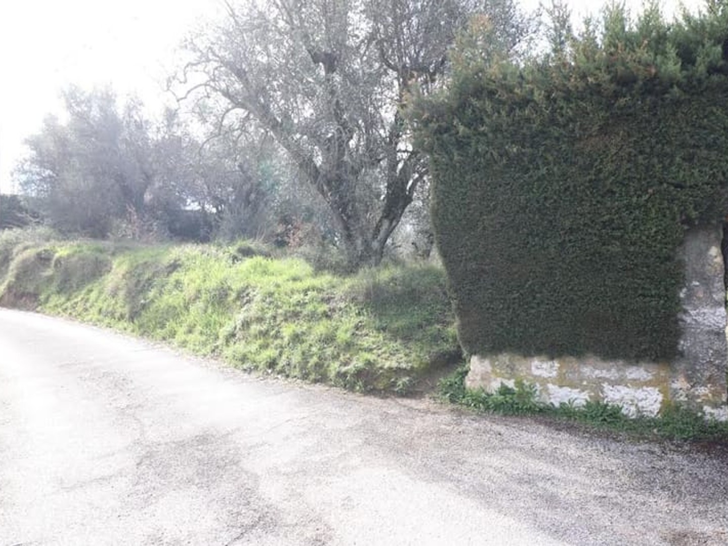 Terrain 1184 m²