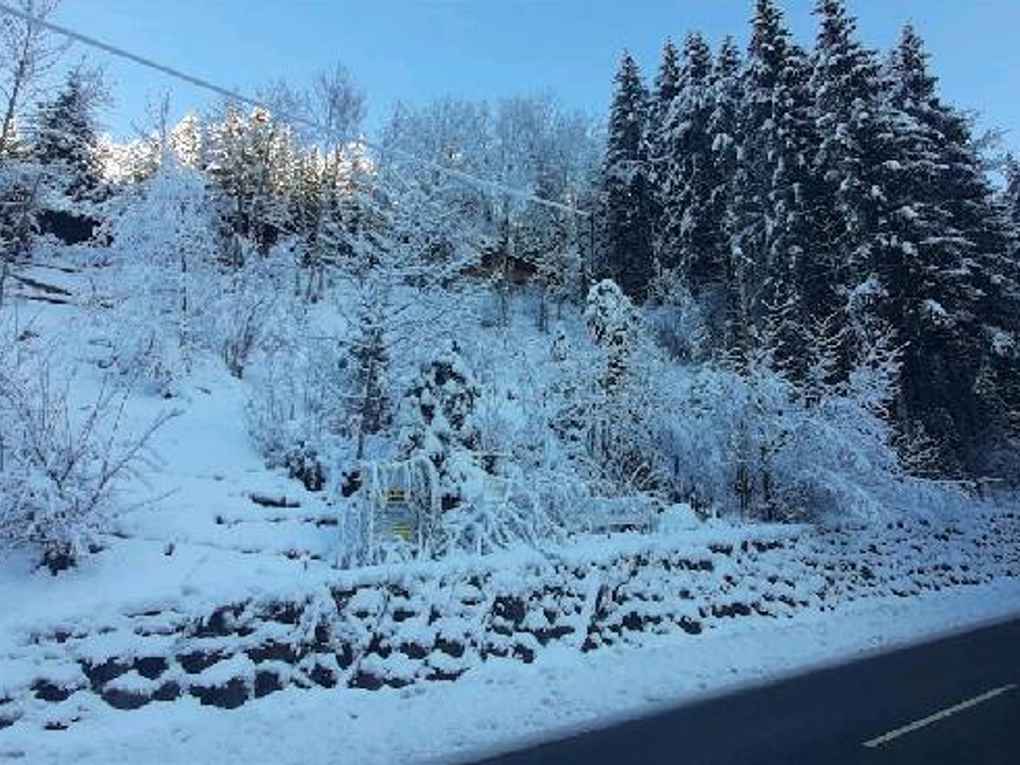 Terrain à vendre - 426m2 - Morzine (74110)