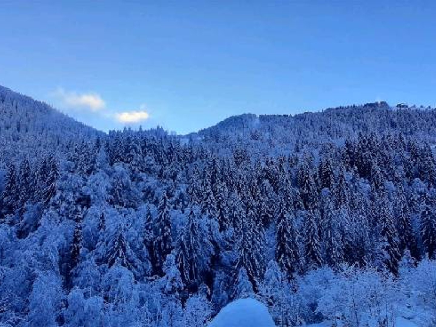 Terrain à vendre - 426m2 - Morzine (74110)