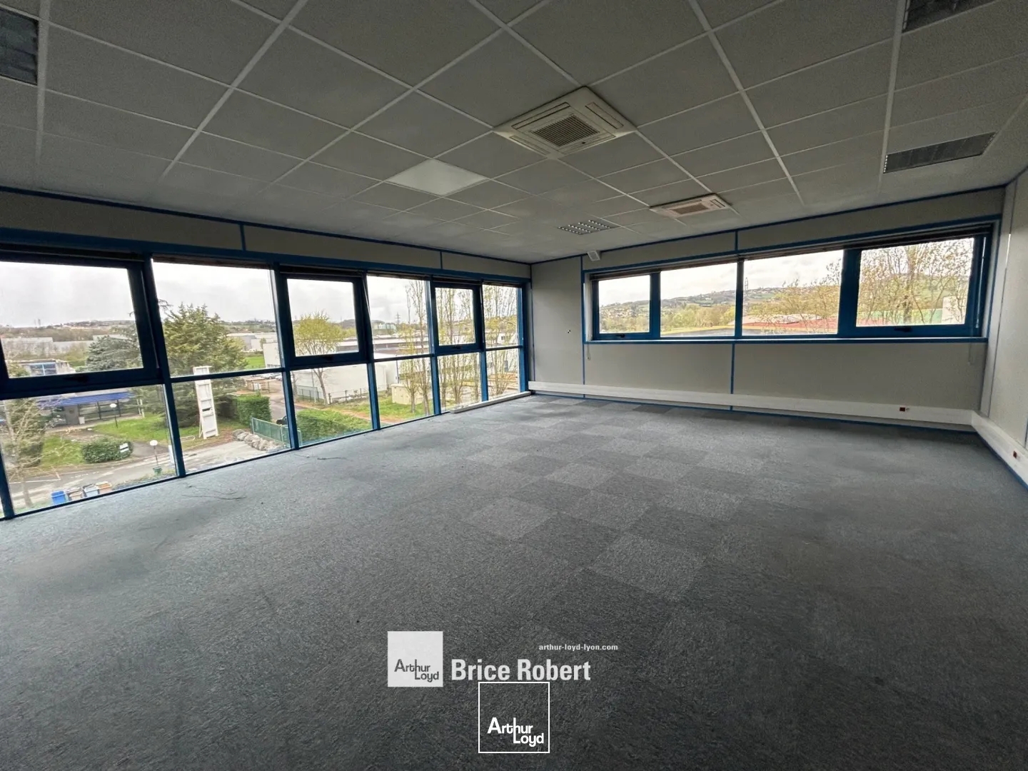 Locaux à vendre - 4266m2 - Civrieux-D'azergues (69380)