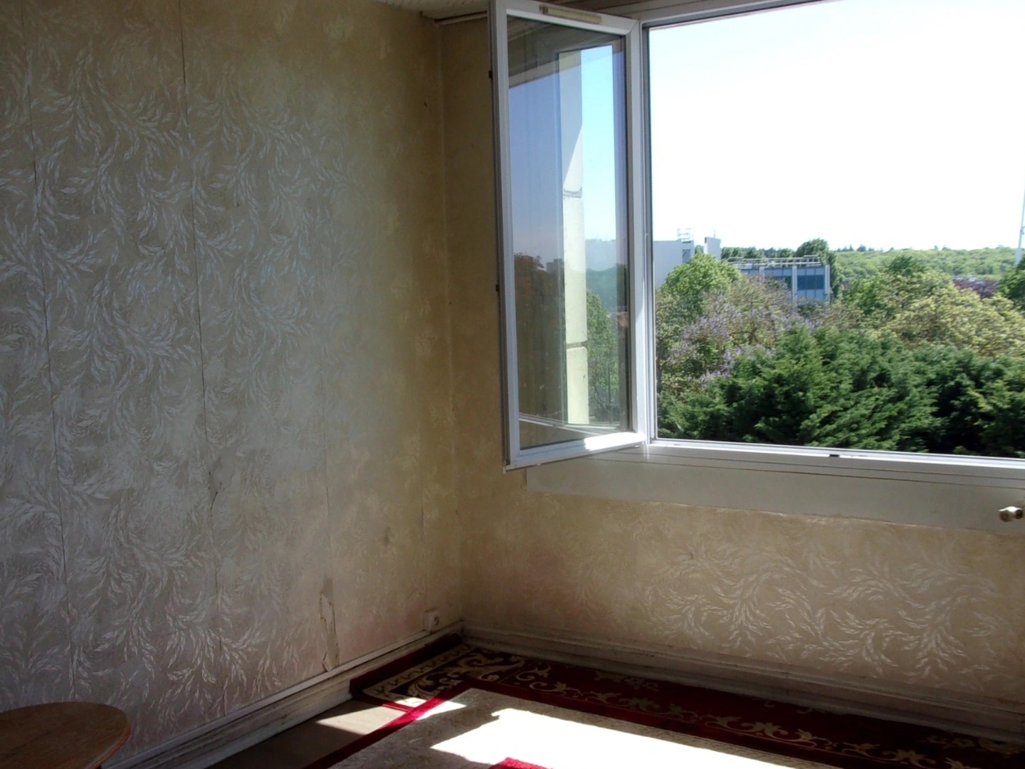 Appartement 3 pièces 50 m²