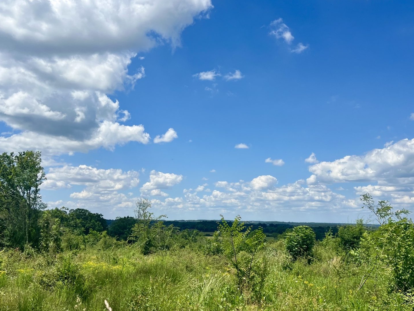 Terrain en individuel 7311 m²