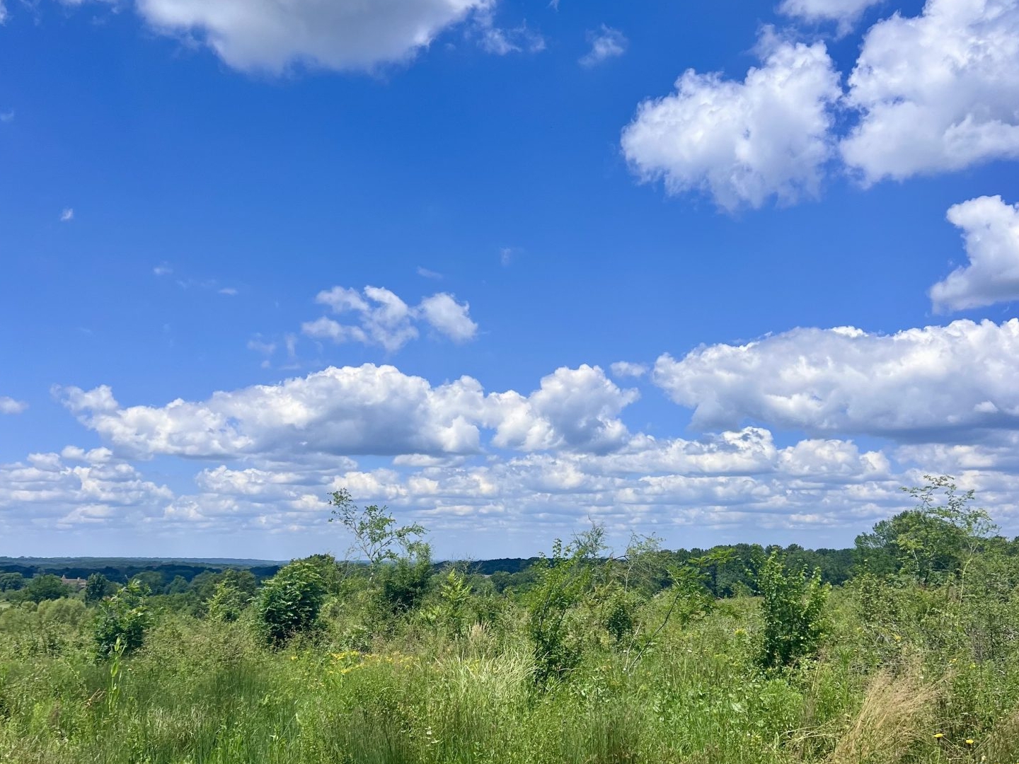 Terrain à vendre - 7311m2 - Monpazier (24540)