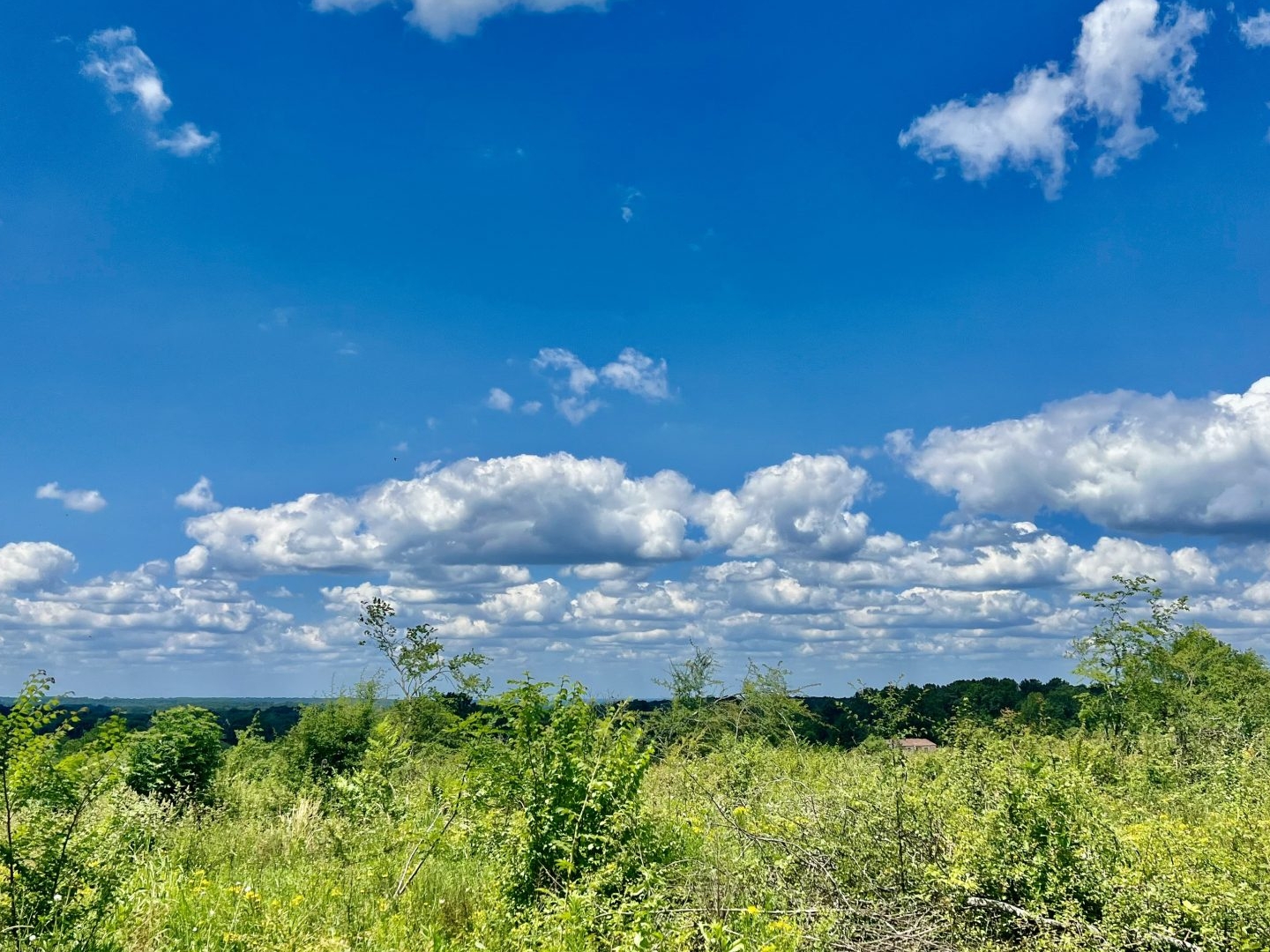 Terrain à vendre - 7311m2 - Monpazier (24540)