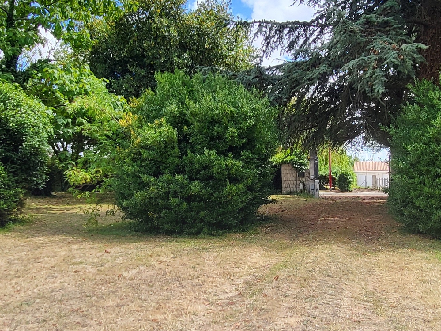 Maison à vendre - 9 pièces - 315m2 - Saint-Léger (17800)