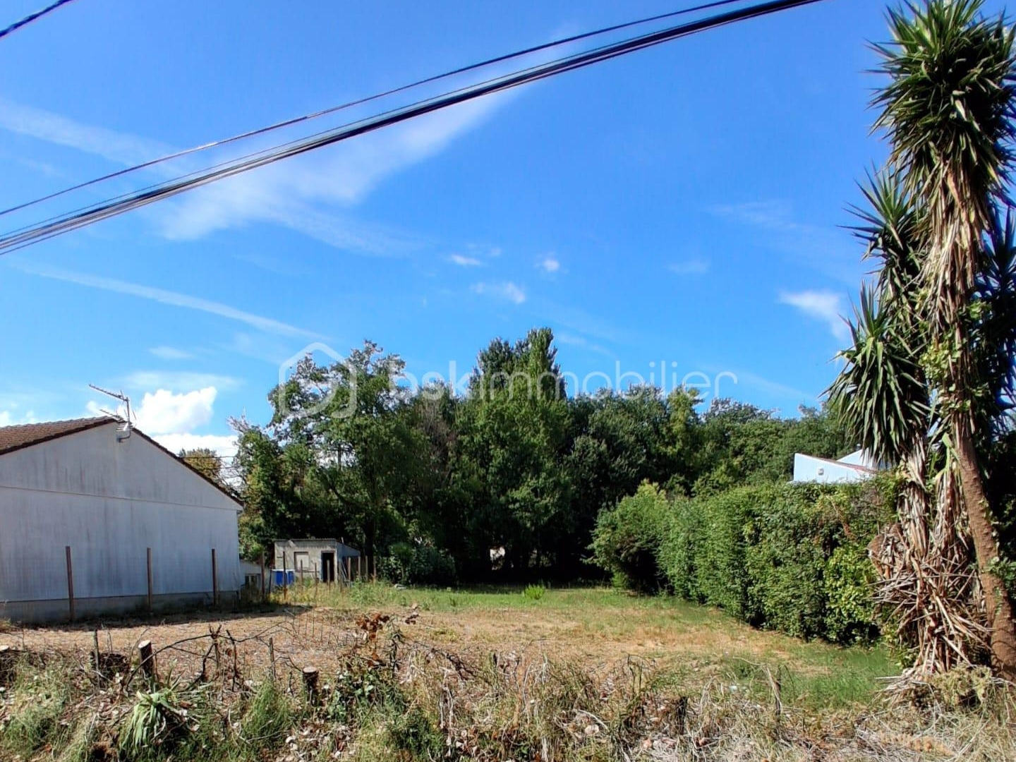 Terrain 1000 m²