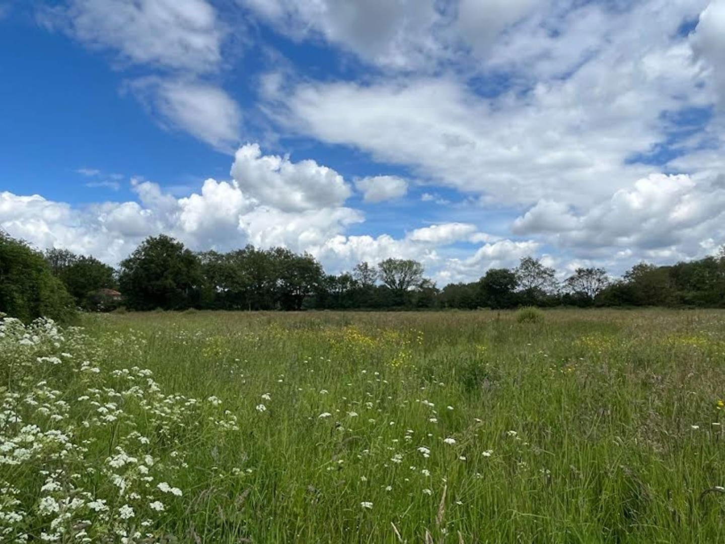Terrain 1000 m²