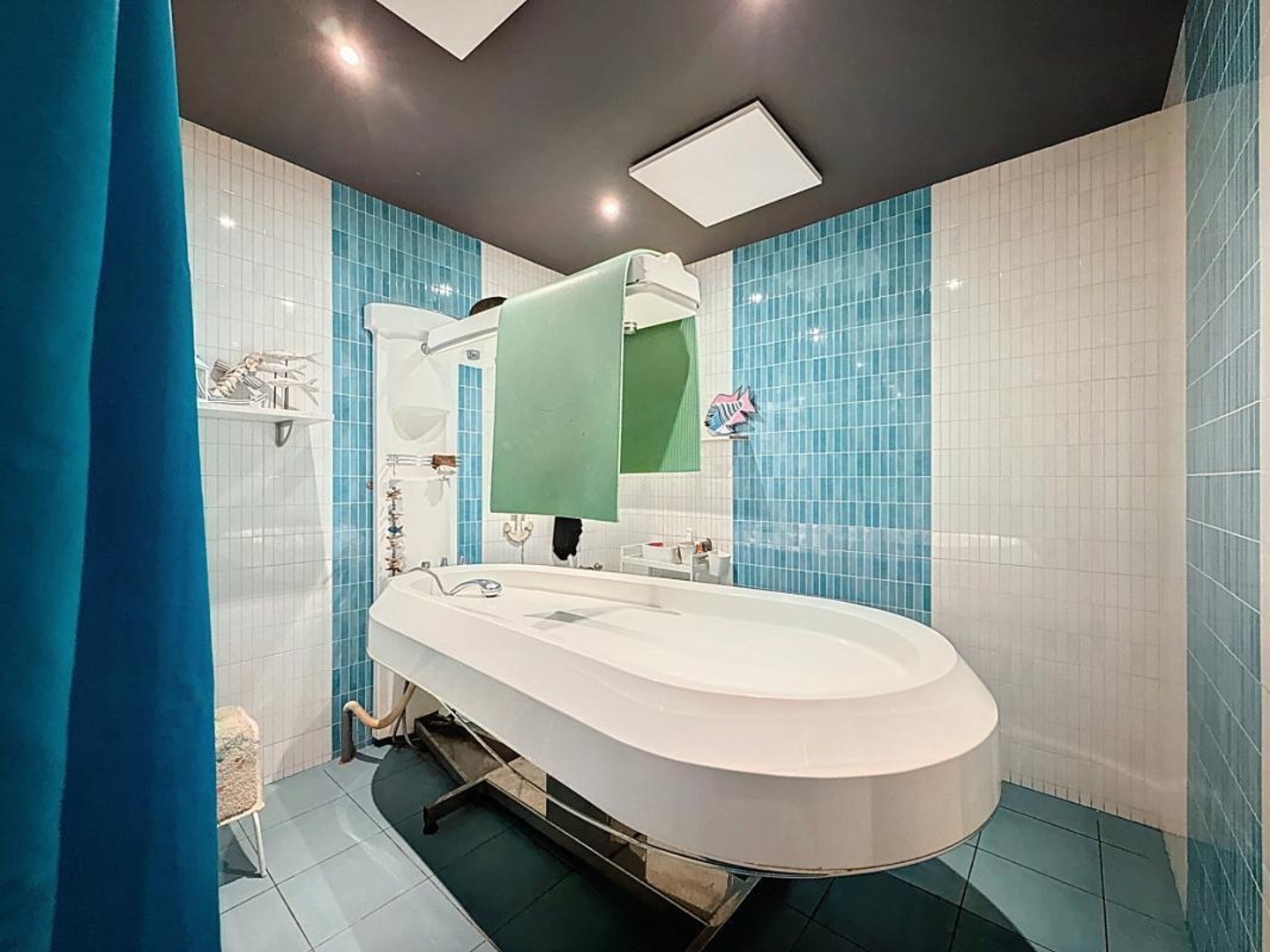 A VENDRE MURS COMMERCIAUX LOUES A MILLAU AVEYRON - 260 M2 -